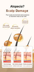Glow Niva Zhang Guang 101 Ginseng Nourishing Liquid 120ml